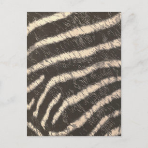 Carte Postale Zebra Stripes
