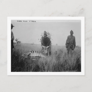 Carte Postale Zebra tué par des autochtones en Afrique Photo
