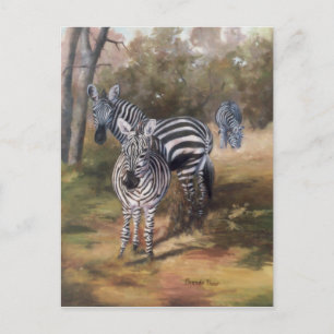 Carte postale Zebras