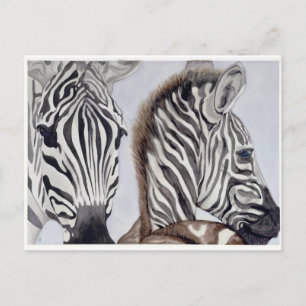 Carte Postale Zebras mère et enfant
