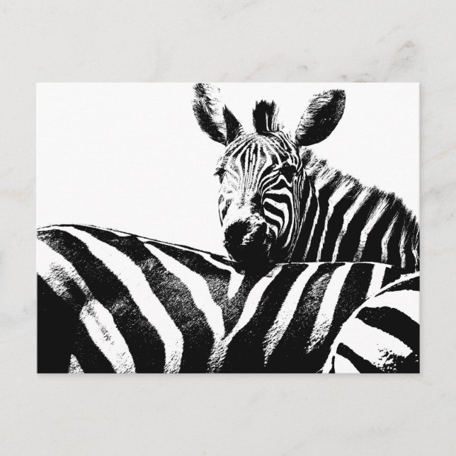 Carte Postale Zebras Modern Black&White Pop Art Photo Modèle (Devant)