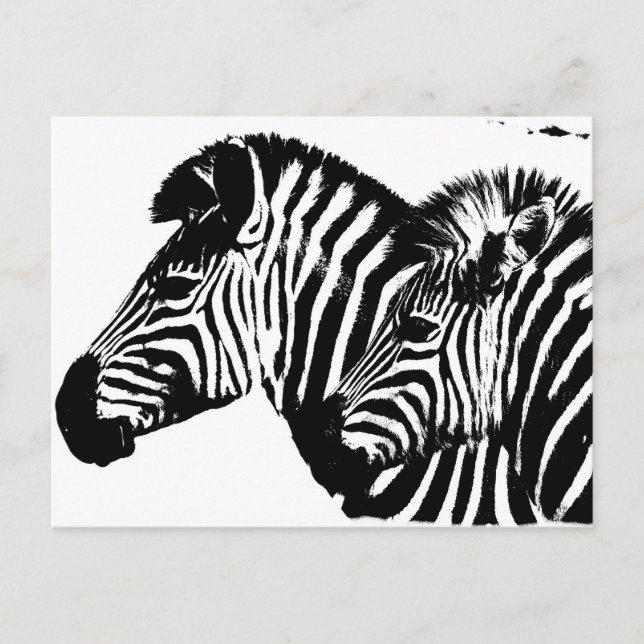 Carte Postale Zebras Moderne Noir Et Blanc Modèle Pop Art. (Devant)