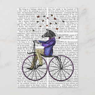 Carte Postale Zèbre À Vélo