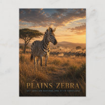 Zèbre des plaines Savane d'Afrique orientale ANIMA