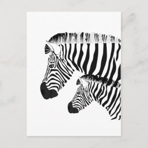 Carte Postale Zèbre et bébé