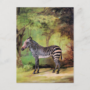 Carte Postale Zèbre, œuvre d'art de George Stubbs,