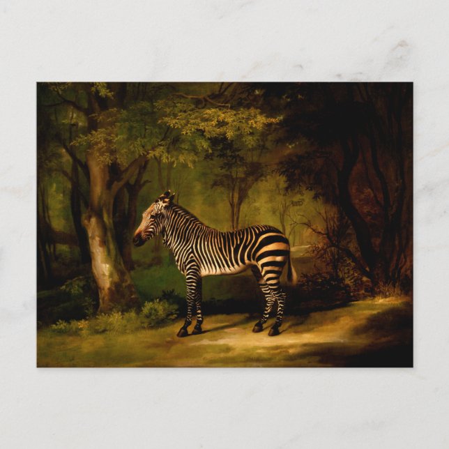 Carte Postale Zèbre par George Stubbs (1763) (Devant)