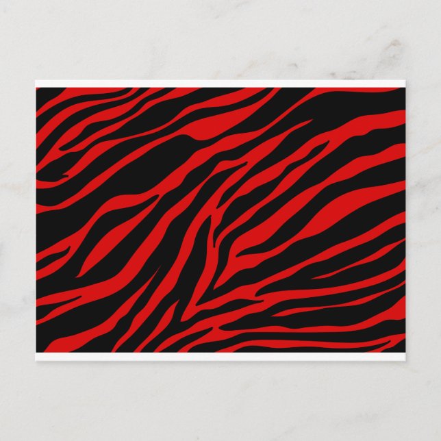 Carte Postale zèbre rouge (Devant)