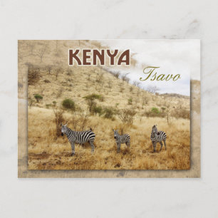 Carte Postale Zèbres à Tsavo, Kenya