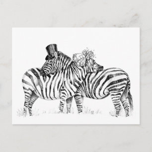 Carte Postale zèbres mariages