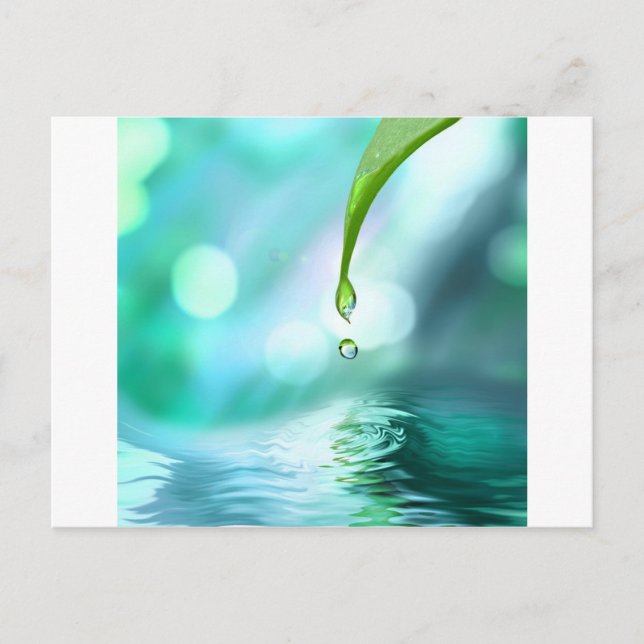 Carte Postale zen 4 (Devant)