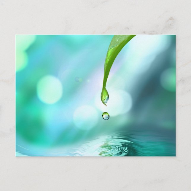 Carte Postale zen 4 (Devant)