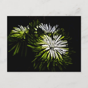 Carte Postale Zen floral Lime vert blanc Chrysanthemum