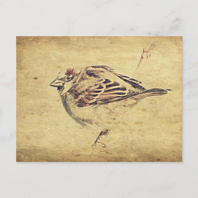 Carte Postale Zen Oriental art crayon croquis oiseau sauvage (Devant)