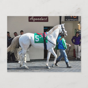 Carte Postale Zen Papa