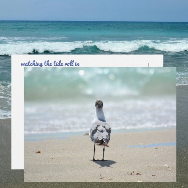 Carte Postale Zen Seagull à la plage Photographie (Créateur téléchargé)