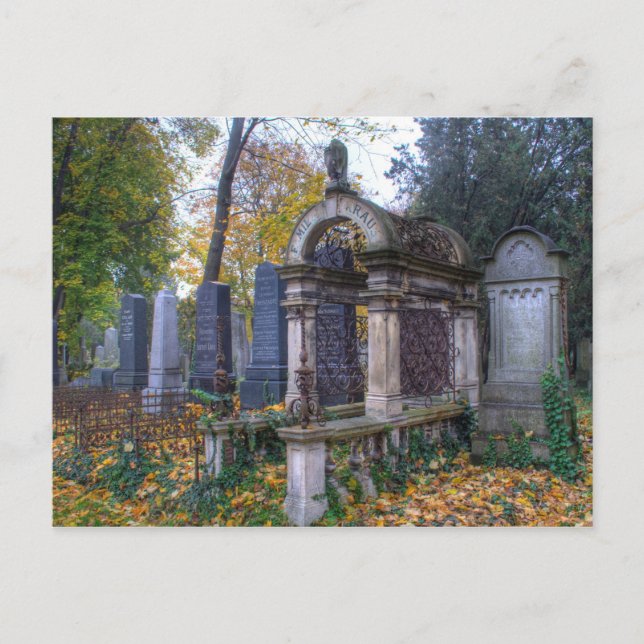 Carte Postale Zentralfriedhof (Devant)