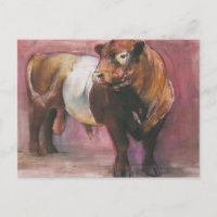 Zeus Red Belted Galloway Bull 2006