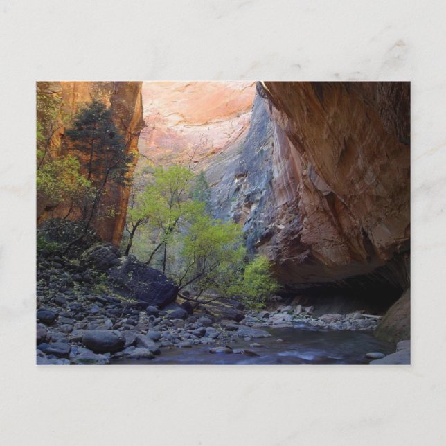 Carte Postale Zion Narrows (Devant)