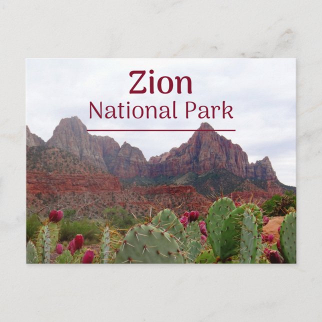 Carte postale Zion National Park Bloom (Devant)