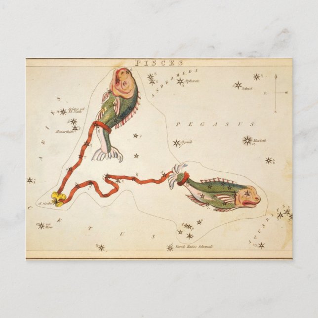 Carte postale "Zodiac Sign : Poissons" (Devant)