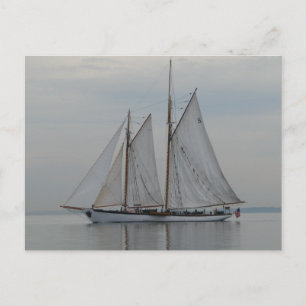 Carte Postale Zodiaque
