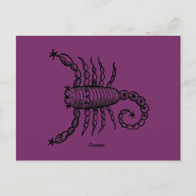 Carte Postale Zodiaque : Scorpio, 1482 (Devant)