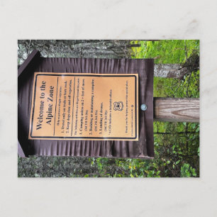 Carte Postale Zone alpine - White Mountains Forêt nationale