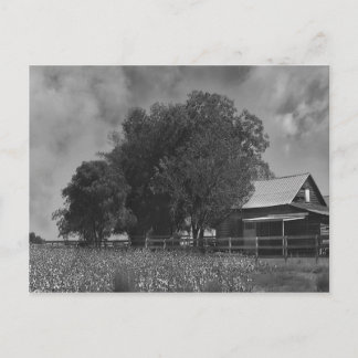 Carte postale Zone Coton Noir & Blanc