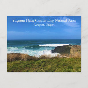 Carte Postale Zone naturelle exceptionnelle de Yaquina Head, Ore