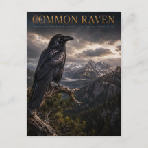 Zone sauvage de Common Raven Mountain FAUNE