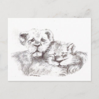 Carte postale Zoo Baby