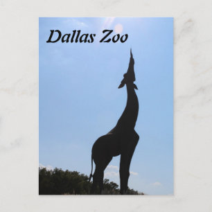 Carte Postale Zoo de Dallas