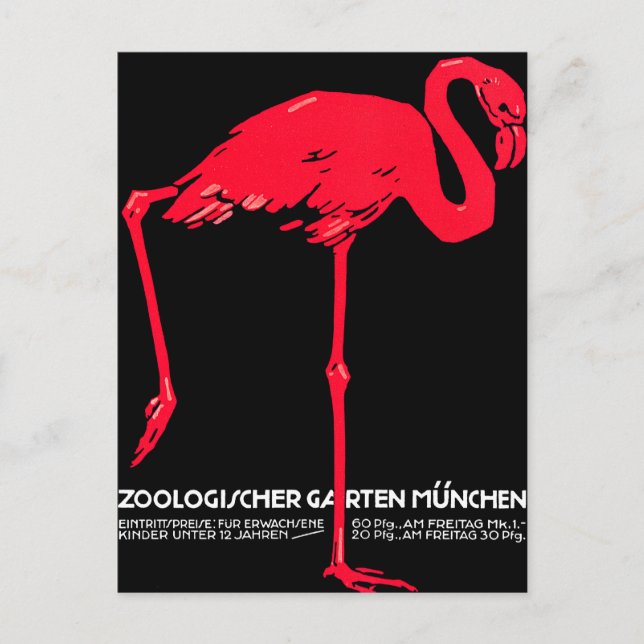 Carte Postale Zoo de Munich Jardin Flamant rose Voyage Art (Devant)