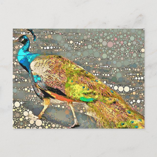 Carte postale Zoo Peacock (Devant)