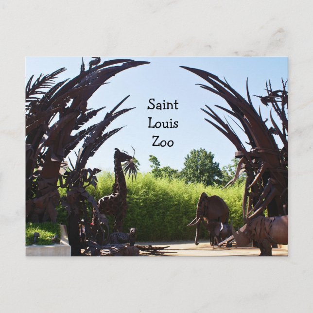 Carte Postale Zoo Saint-Louis (Devant)