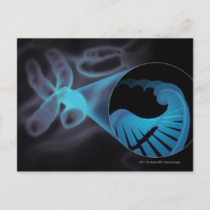 Carte Postale Zoom sur un brin d'ADN dans un chromosome