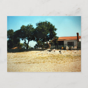 Carte Postale Zorba le hause grecPhoto Colette Guggenheim