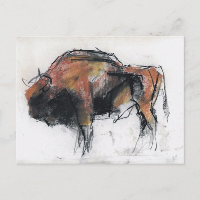 Carte Postale Zubre Bialowieza (Devant)