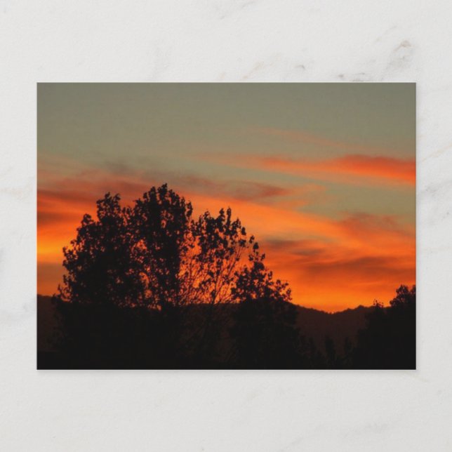 Carte Postale Zulu Dawn (Devant)