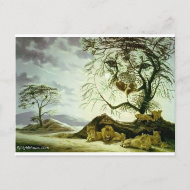 Carte Postale zyonimuzik (Devant)