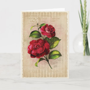 Carte Postcard Vintage Collection-Vol.3 - Greeting Card