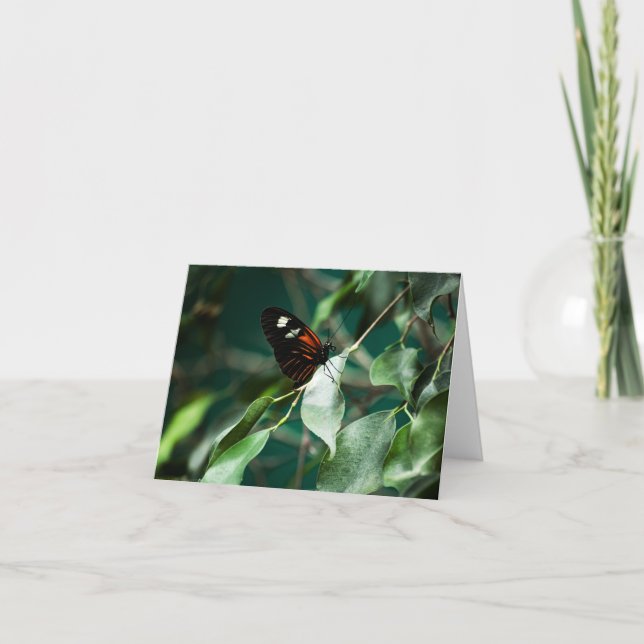 Carte Postman 184 (Devant)