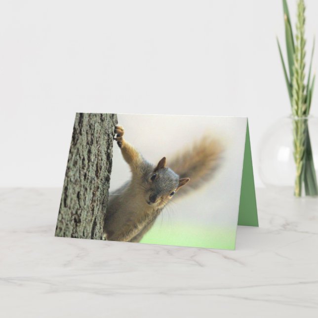 Carte Pot (Devant)