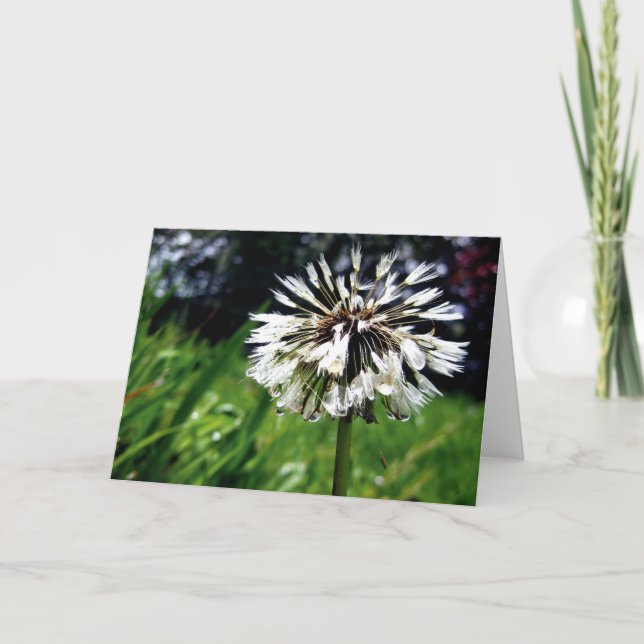 Carte Pot de Dandelion avec Poésie Dew (Devant)