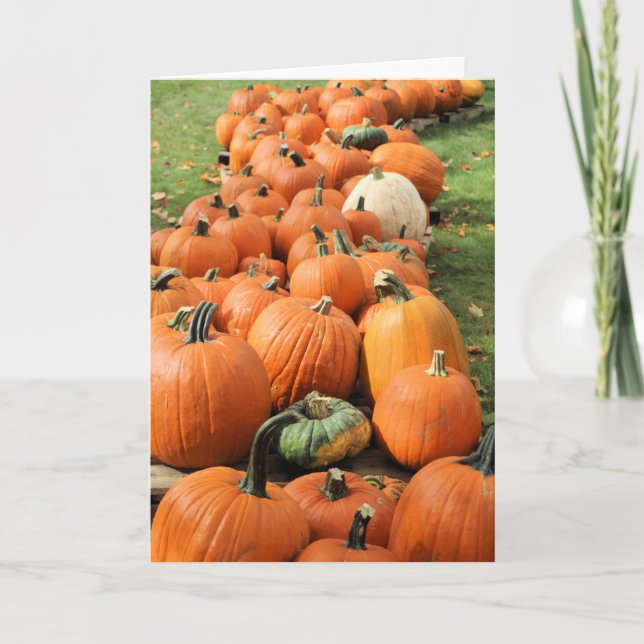 Carte Potager de citrouilles (Devant)