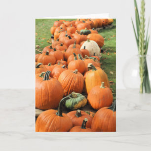 Carte Potager de citrouilles