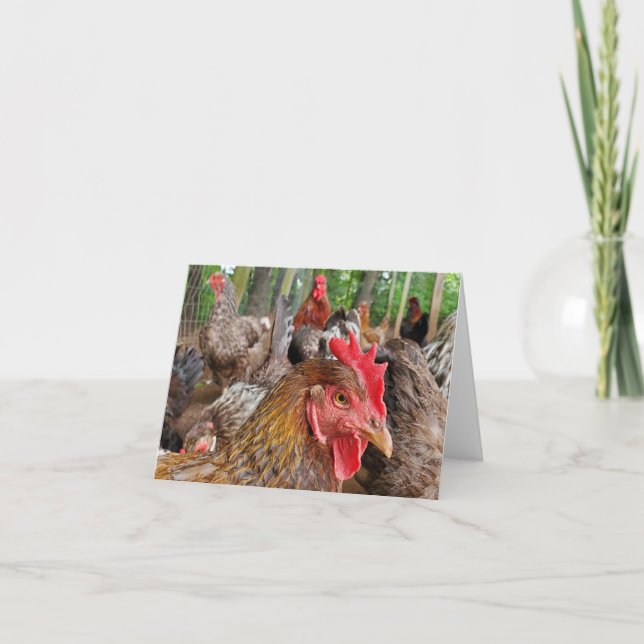 Carte Poulet (Devant)