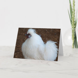 Carte Poulet blanc de Silkie