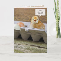 Poulet de fête de nom